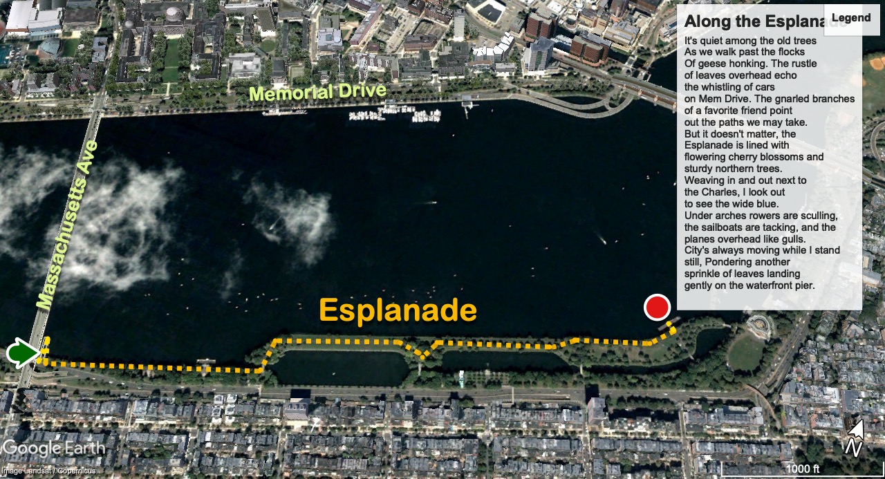 Read more about the article Along the Esplanade